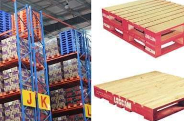 Pallet là gì? Công dụng và phân loại các Pallet hiện nay