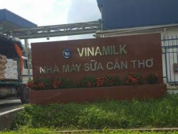 Nhà máy sữa Cần Thơ – Công Ty Cp Sữa Việt Nam