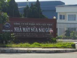 Nhà Máy Sữa Sài Gòn - Nhân Viên Asa Bảo trì+ sửa chữa xe nâng